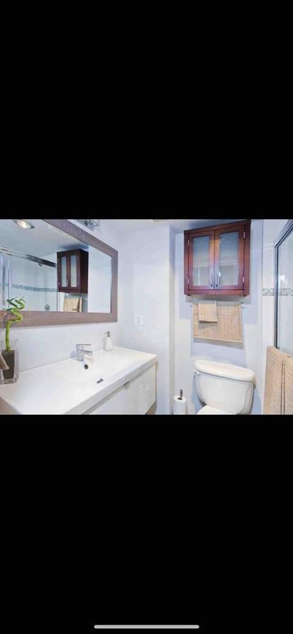 Cozy Vancouver Condo 外观 照片